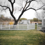 scan0010-6
